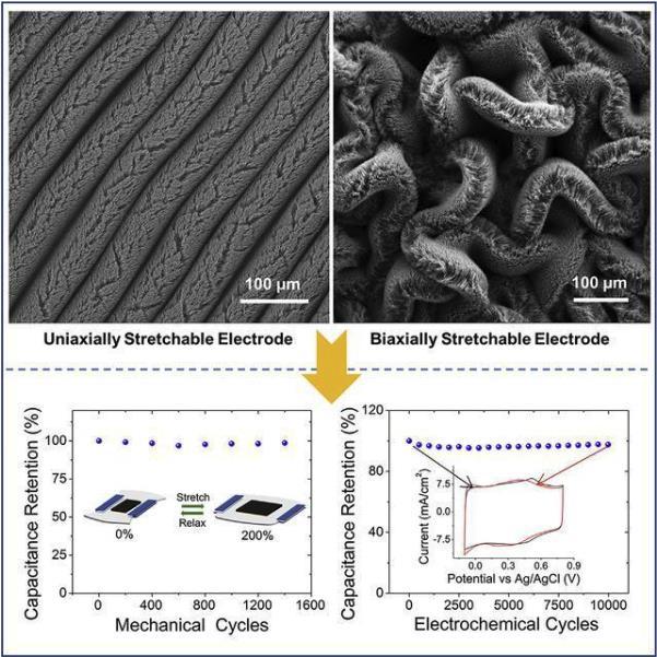 3118云顶集团·(中国区)官方网站