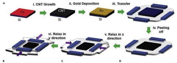 3118云顶集团·(中国区)官方网站